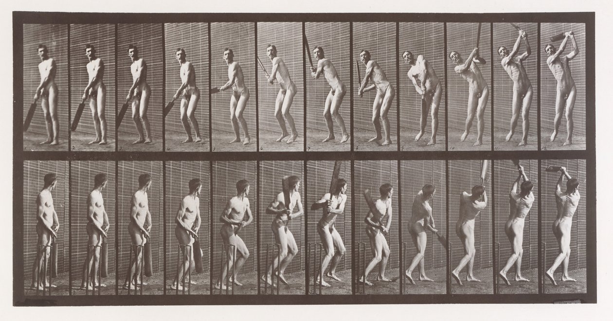 Animal Locomotion. An Electro-Photographic Investigation of Consecutive Phases of Animal, 1880s by Eadweard Muybridge