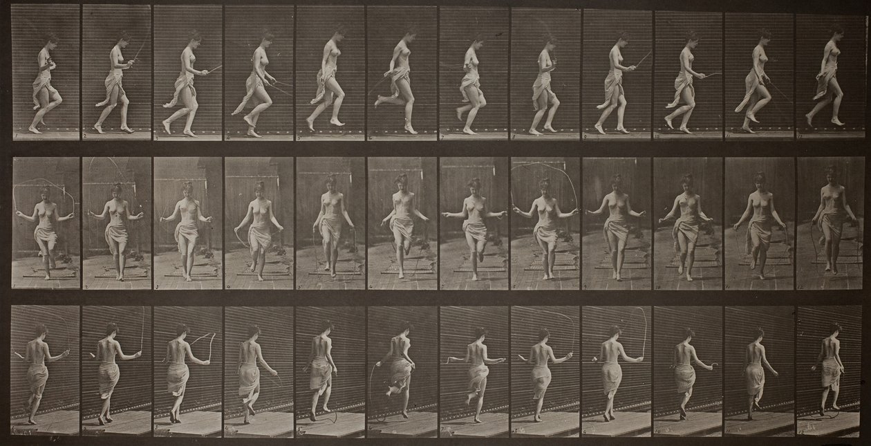 Animal Locomotion, Plate 174, 1887 by Eadweard Muybridge