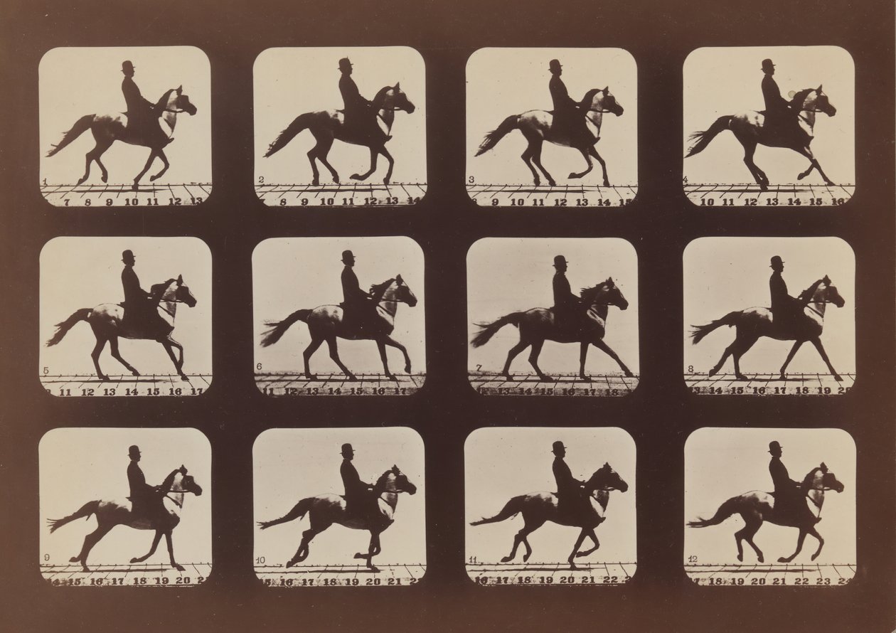 Attitudes of Animals in Motion by Eadweard Muybridge