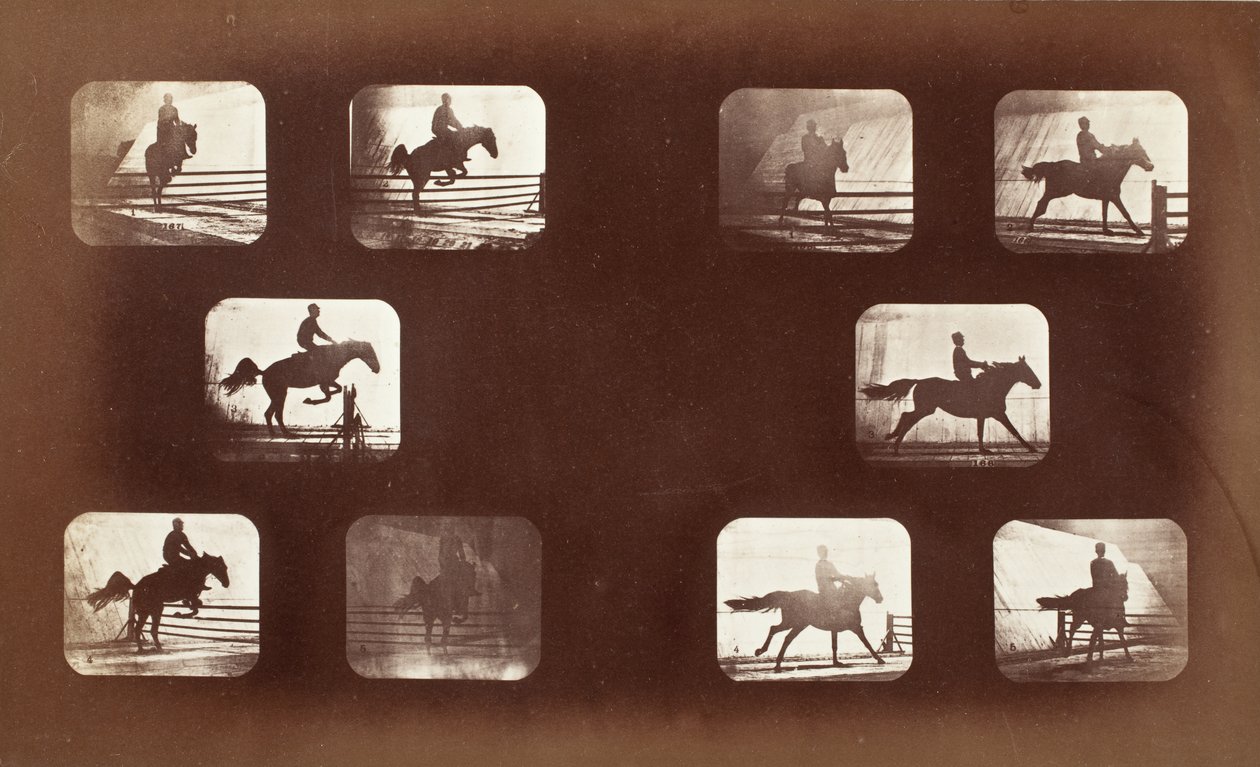 Animal Locomotion (Man on Horse Over Hurdles) by Eadweard Muybridge
