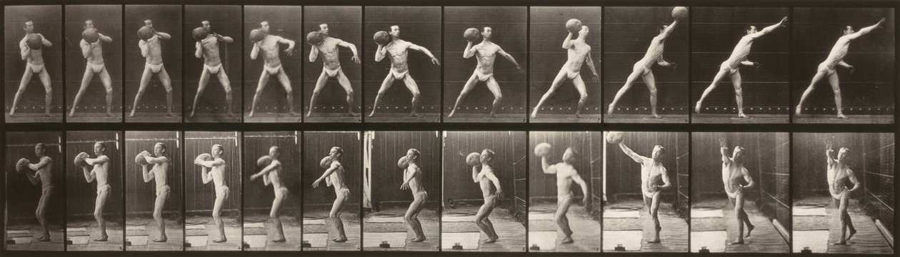 Animal Locomotion (Plate 319) (Man Throwing a Ball) by Eadweard Muybridge