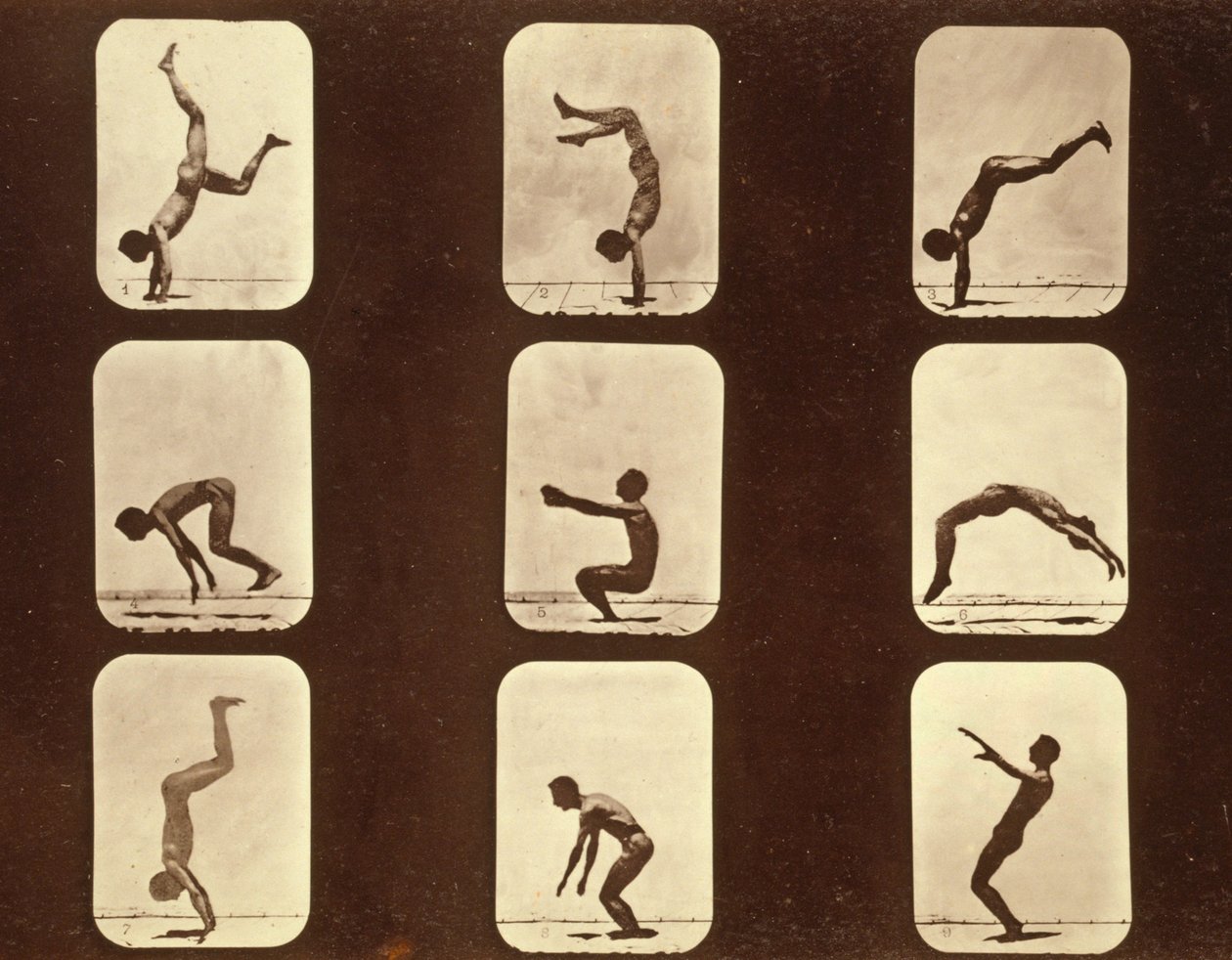 Athletes. Flip flap 