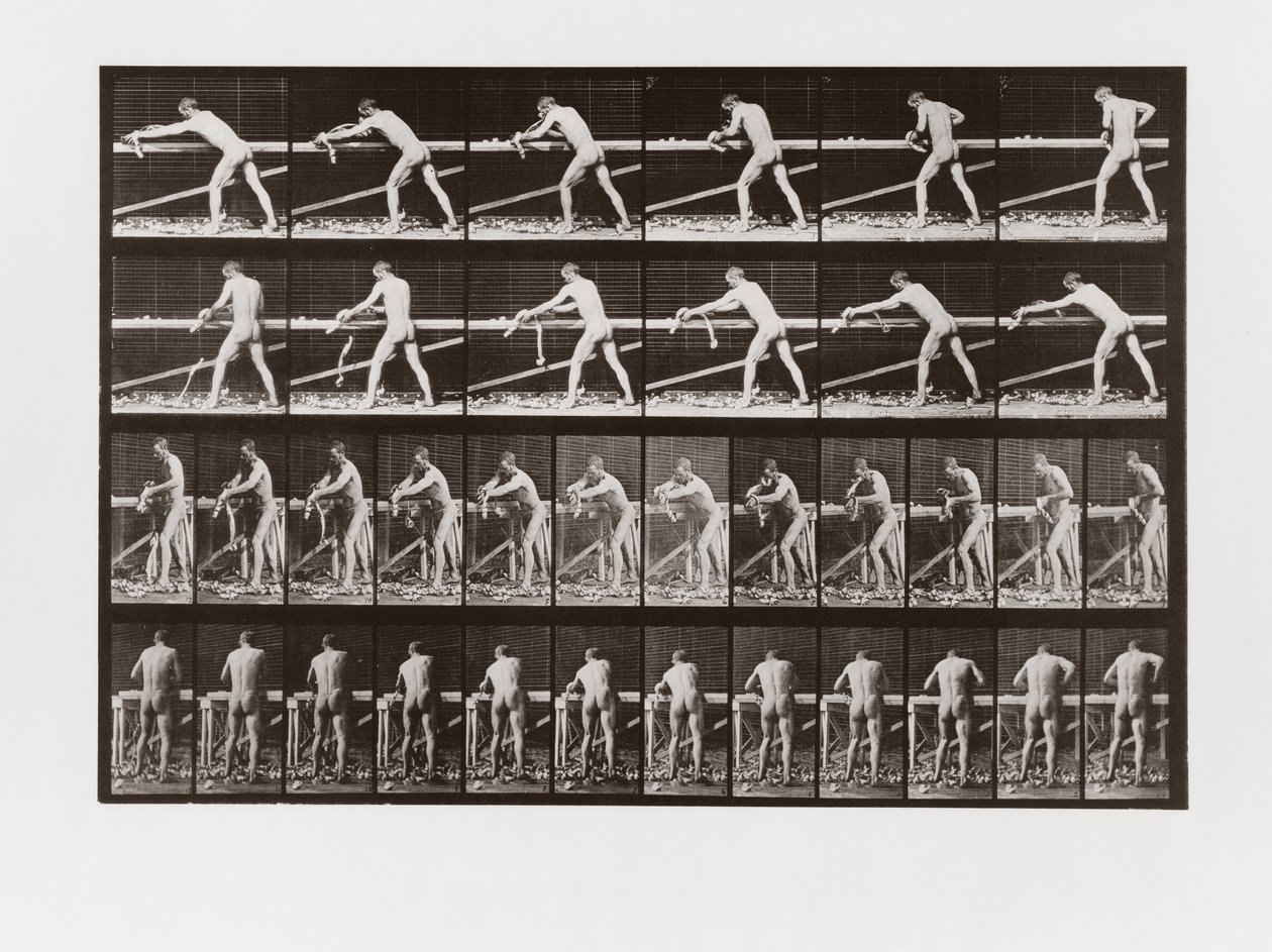 Man planing wood, Plate 379 from Animal Locomotion