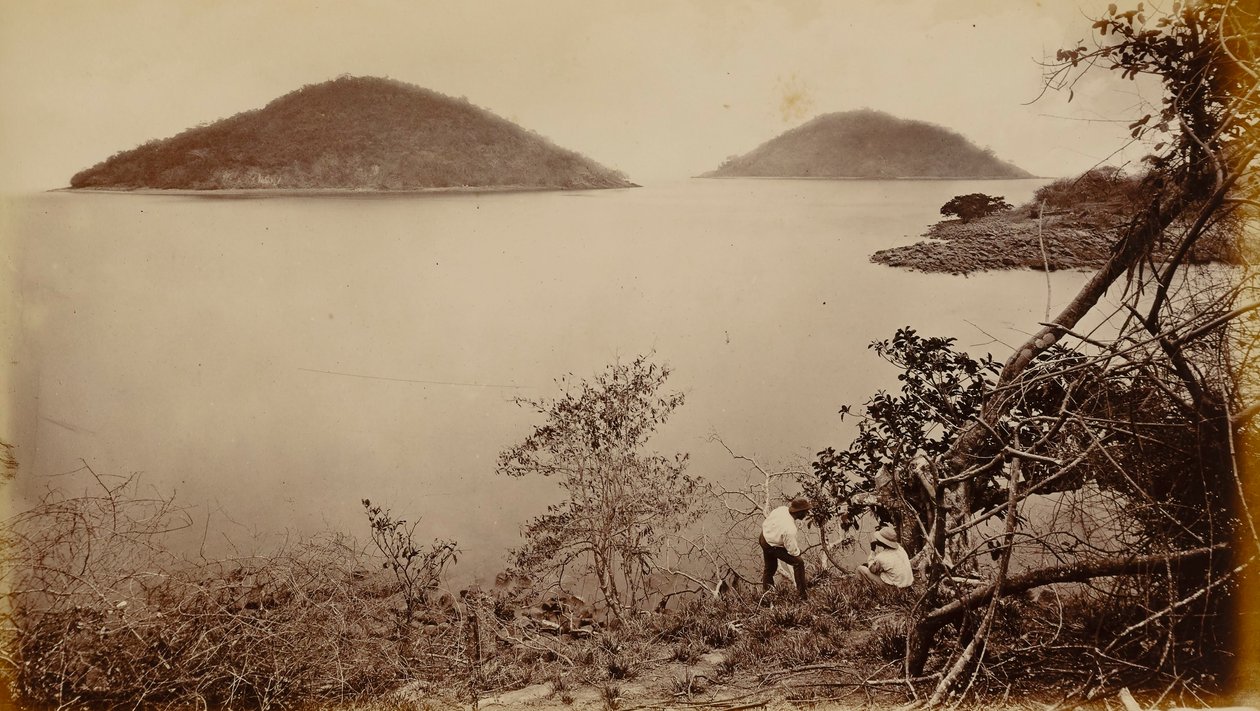 Perico and Flamenco - from Island of Naos, Panama by Eadweard Muybridge