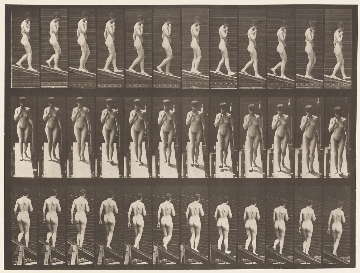 Plate 116. Descending Incline, One Hand On Chin by Eadweard Muybridge