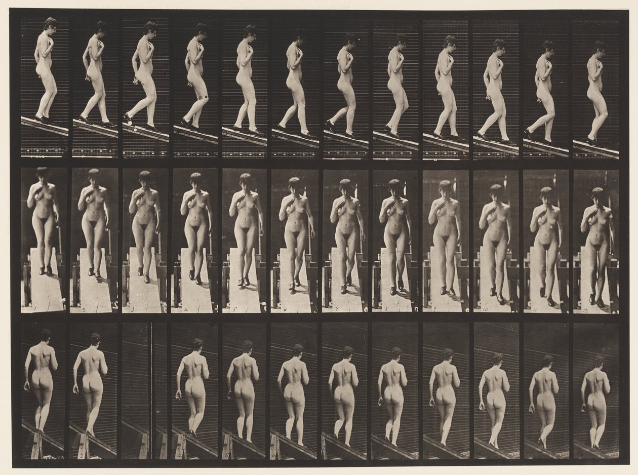 Plate 119. Descending Incline, Right Hand on Breast by Eadweard Muybridge