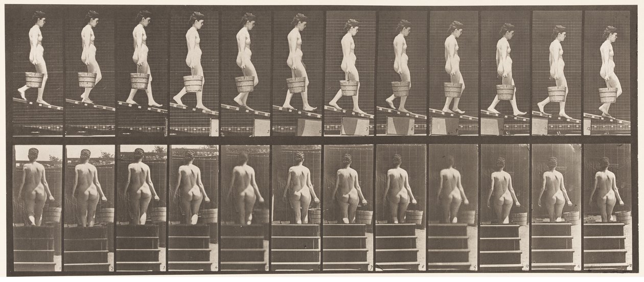 Descending Incline, Bucket of Water in Right Hand by Eadweard Muybridge