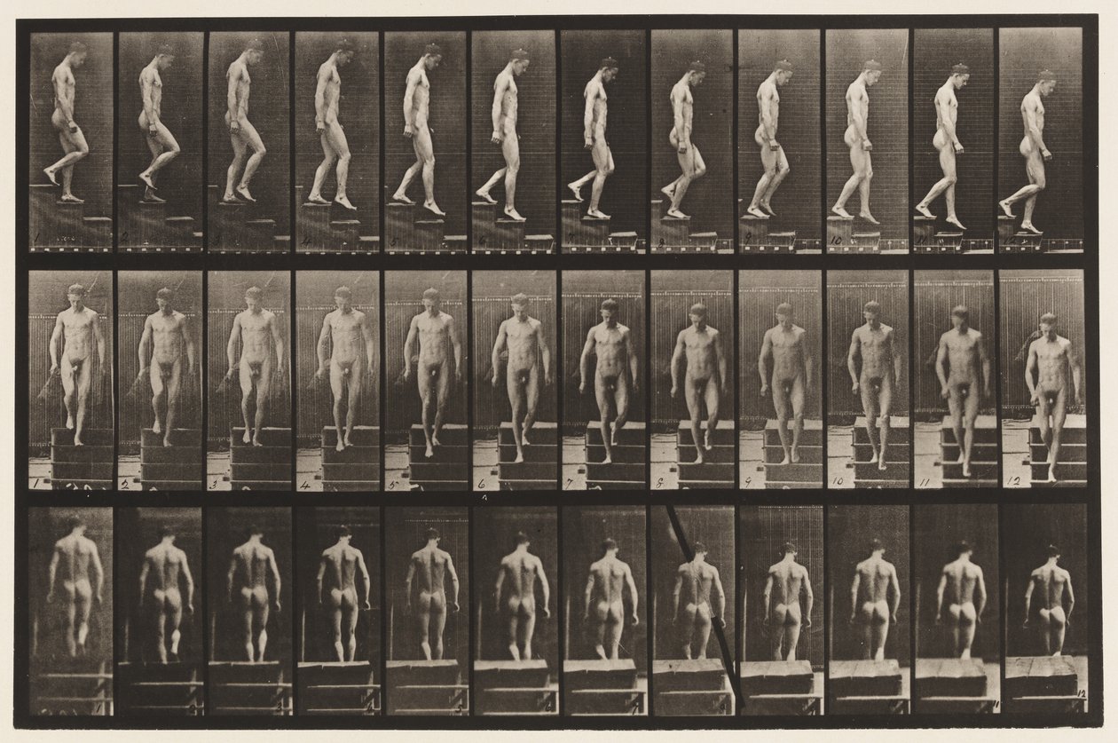 Plate 125. Descending Stairs by Eadweard Muybridge