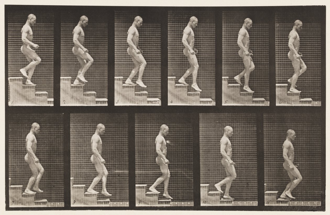 Plate 126. Descending Stairs by Eadweard Muybridge