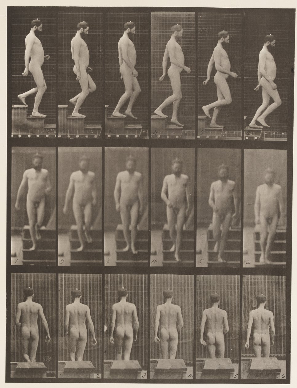 Descending Stairs by Eadweard Muybridge
