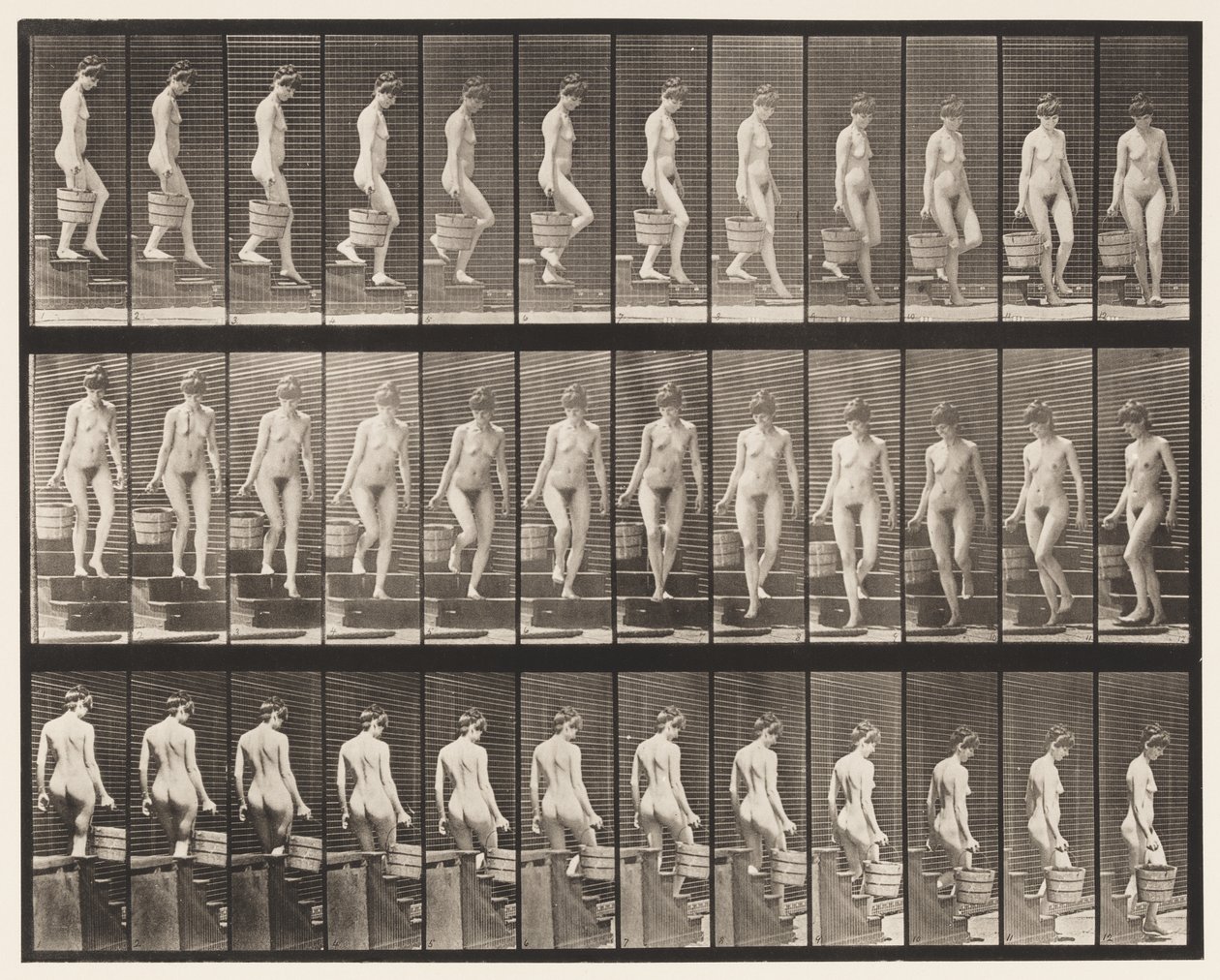 Descending Stairs; Turning Bucket Water in Right Hand by Eadweard Muybridge