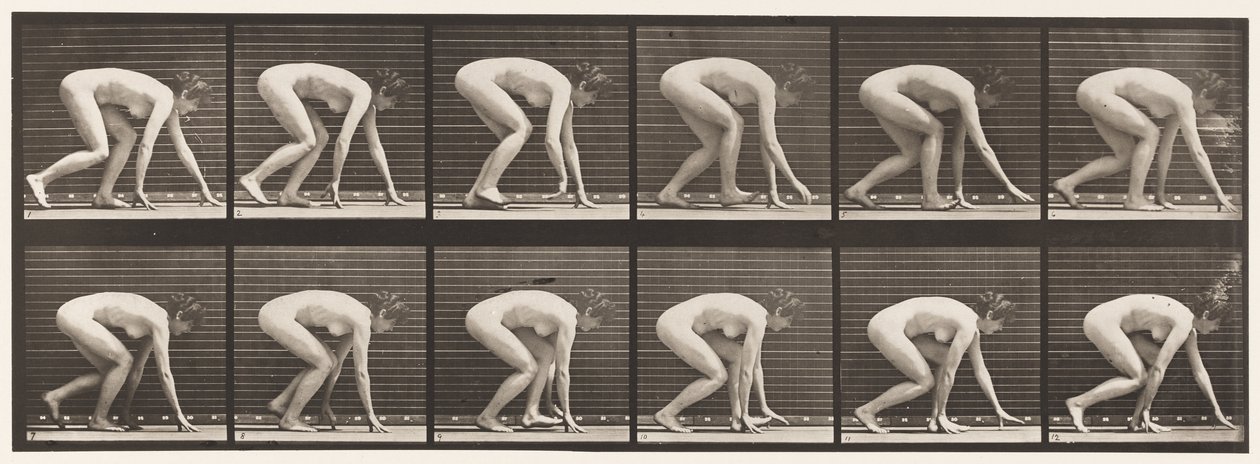 Plate 183. Walking on Hands and Feet by Eadweard Muybridge
