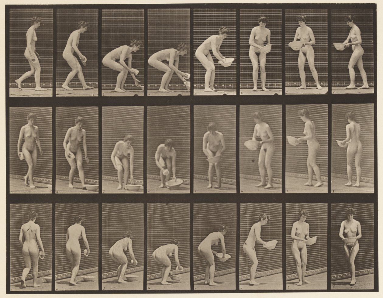 Stooping and Lifting Basin, Wiping it, and Turning by Eadweard Muybridge