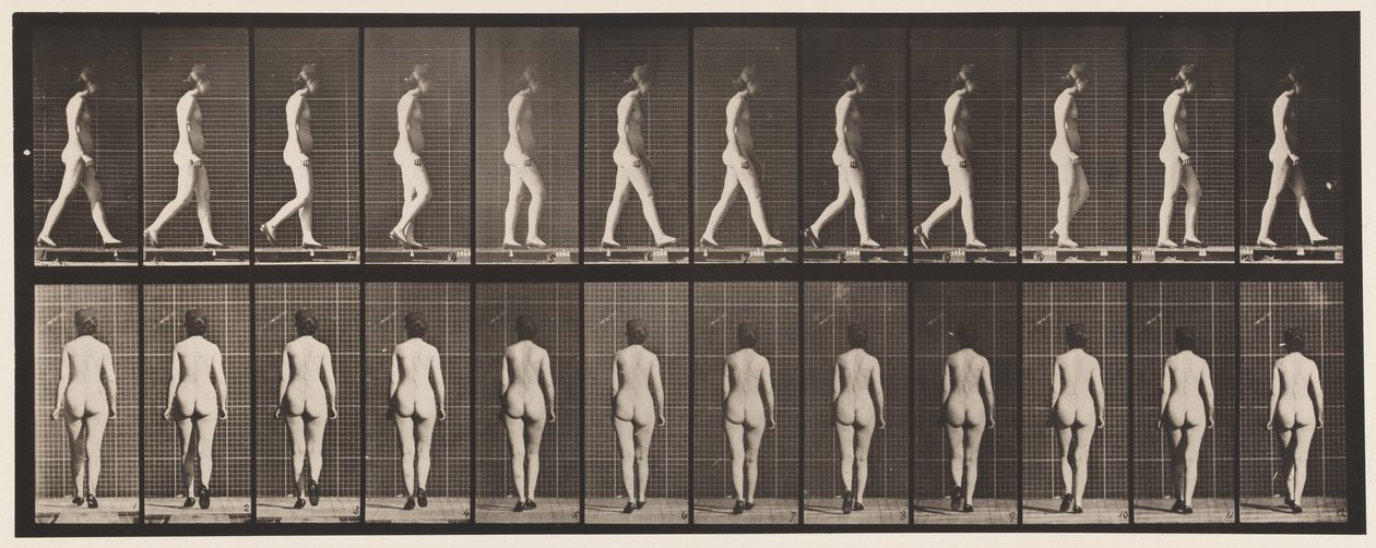Plate 25. Walking, With High-Heeled Shoes On by Eadweard Muybridge