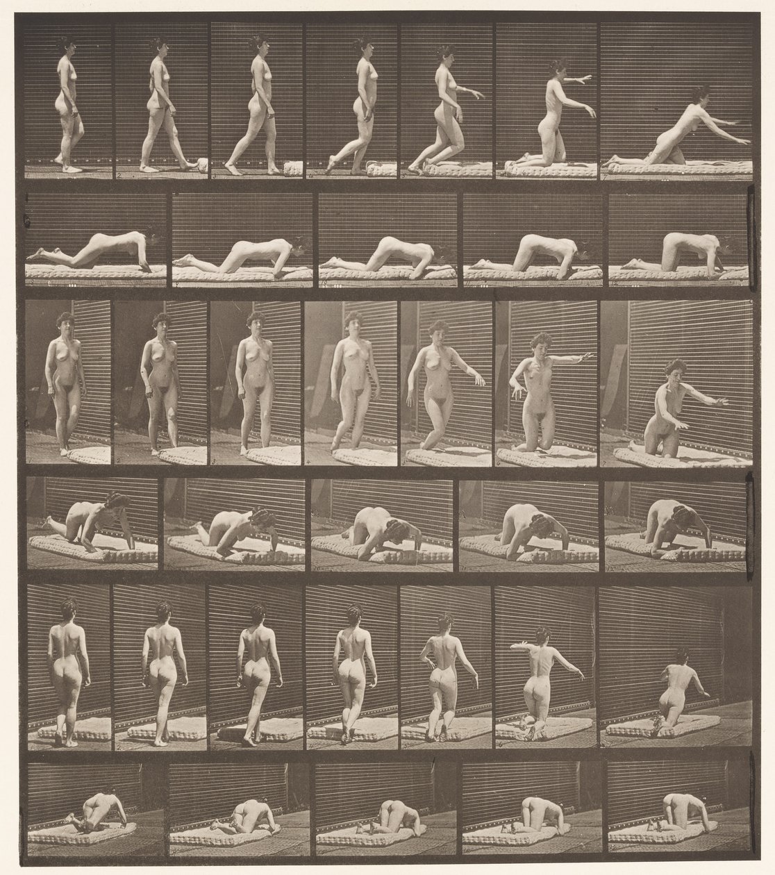 Plate 272. Stumbling and Falling on the Ground by Eadweard Muybridge
