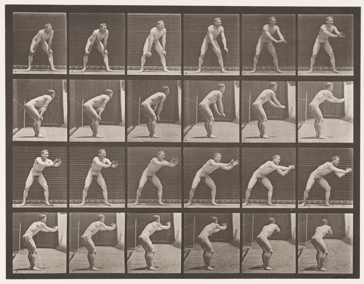 Plate 280. Baseball; Catching by Eadweard Muybridge