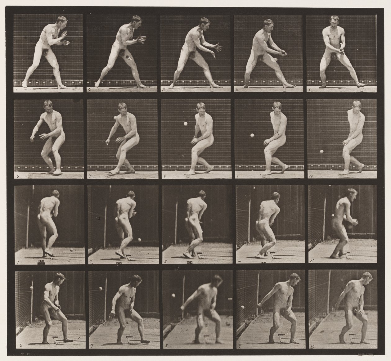 Plate 288. Baseball; Error by Eadweard Muybridge
