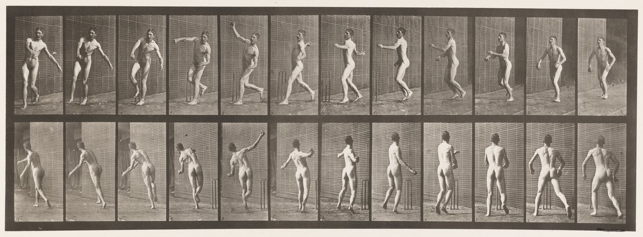 Cricket; Over Arm Bowling by Eadweard Muybridge