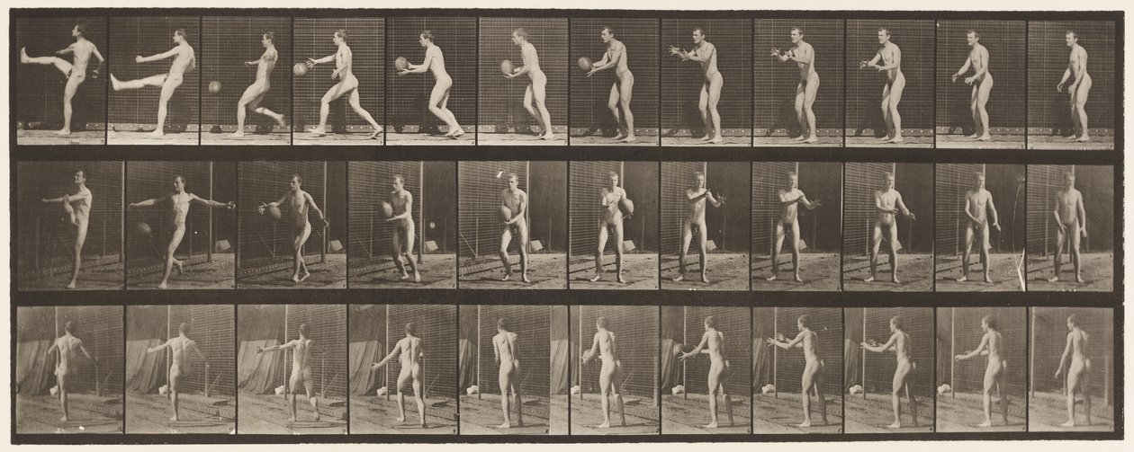 Plate 301. Foot-ball; Punt, 1885 by Eadweard Muybridge