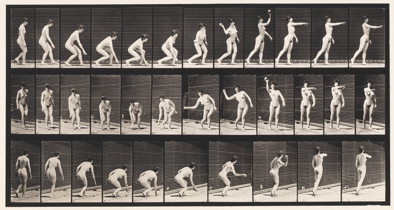 Picking Up a Ball and Throwing It by Eadweard Muybridge