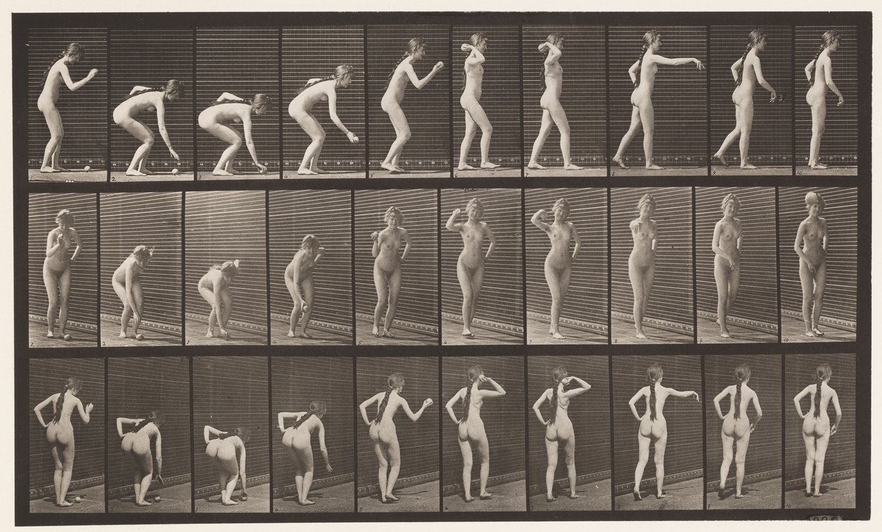 Plate 304. Picking Up a Ball and Throwing It by Eadweard Muybridge