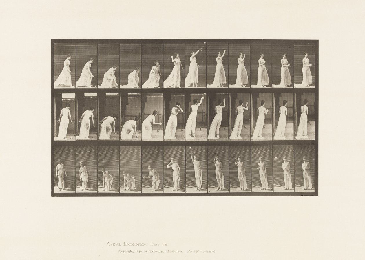 Picking up a Ball and Throwing It by Eadweard Muybridge