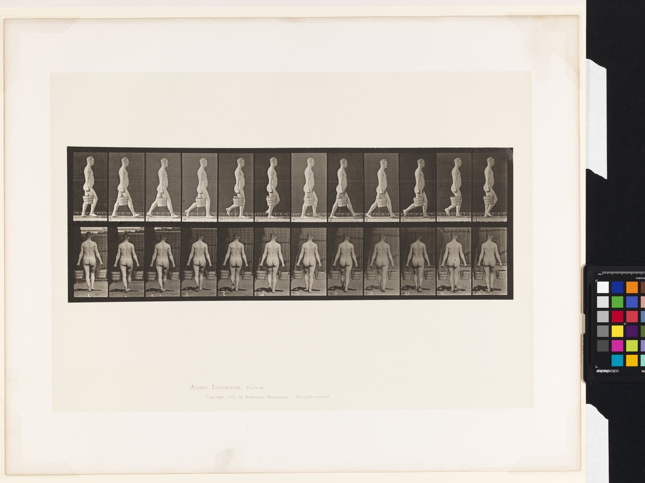 Plate 30. Walking, Carrying Bucket of Water in Each Hand by Eadweard Muybridge