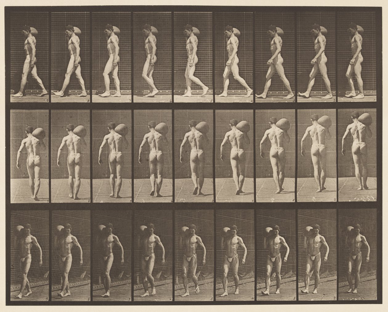 Plate 31. Walking, Carrying 75-lb Stone on Right Shoulder by Eadweard Muybridge