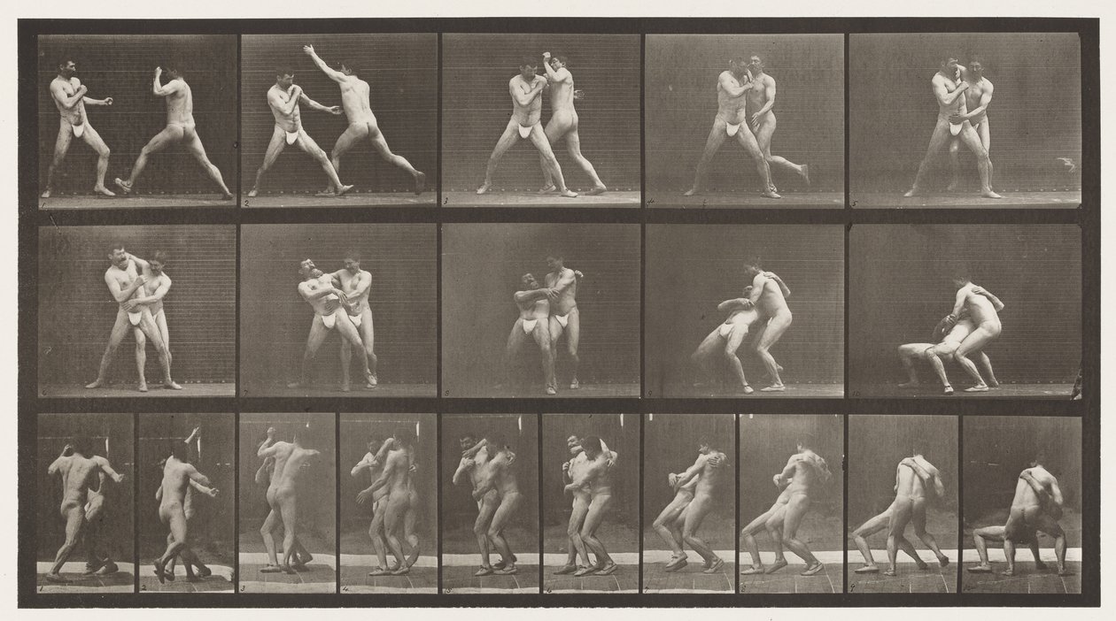 Boxing; Stop for Cross-Buttocks by Eadweard Muybridge
