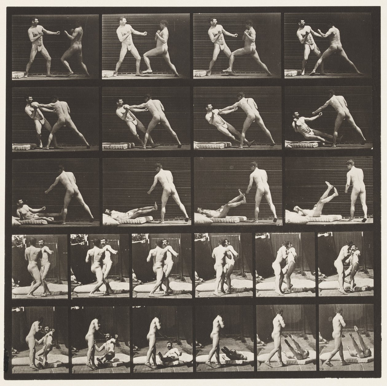 Plate 333. Boxing; Knocking Down (Shoes) by Eadweard Muybridge
