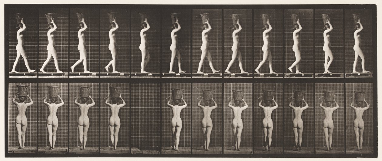 Plate 34. Walking by Eadweard Muybridge