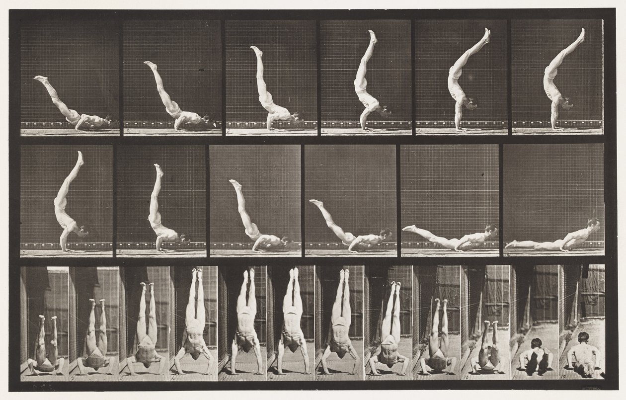 Acrobat, Horizontal Press Up by Eadweard Muybridge