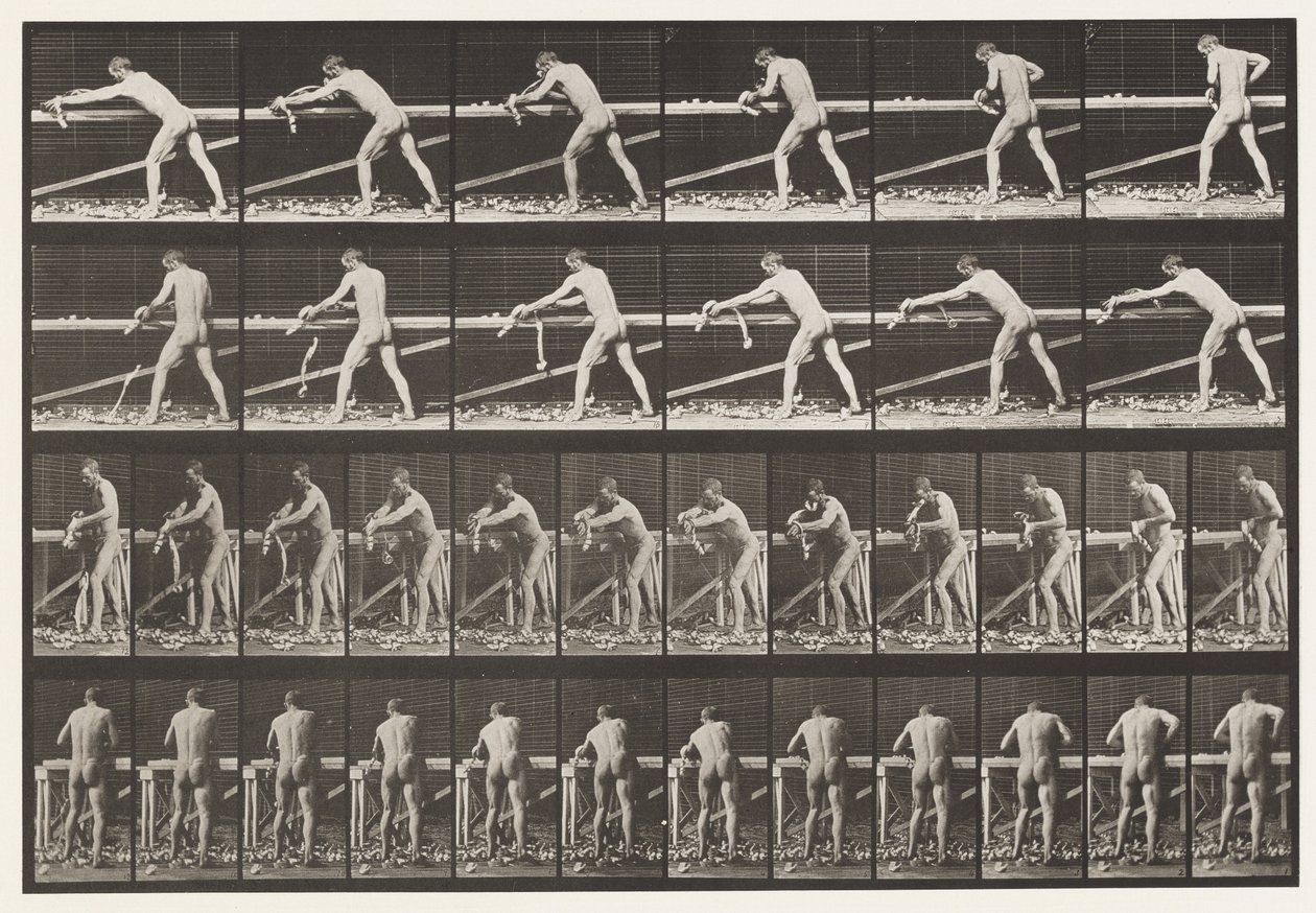 Carpenter, Planing a Board, 1872-1885 by Eadweard Muybridge