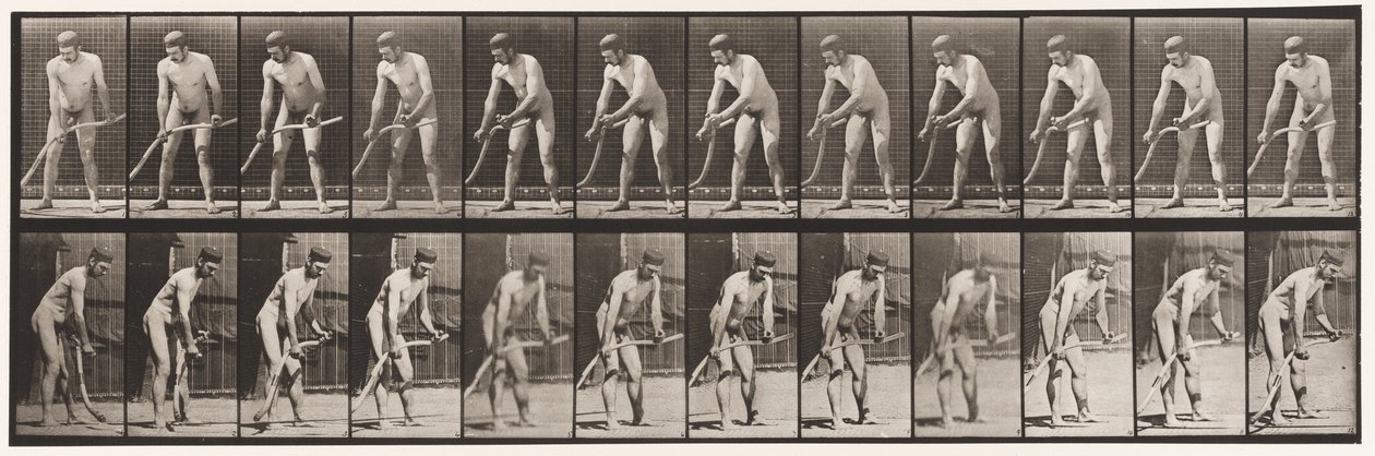 Plate 391. Farmer, Mowing Grass by Eadweard Muybridge