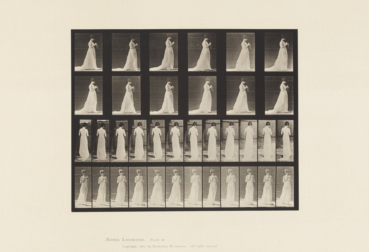 Walking, Hands Engaged in Knitting by Eadweard Muybridge