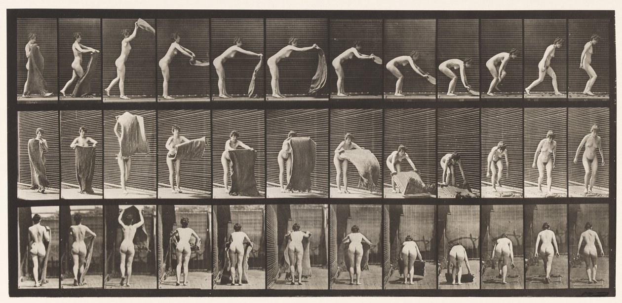 Spreading A Rug on the Floor, 1872-1885 by Eadweard Muybridge