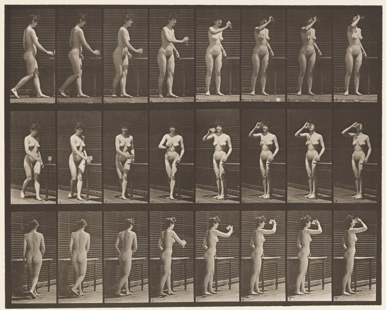 Plate 443. Drinking from a Goblet While Standing by Eadweard Muybridge