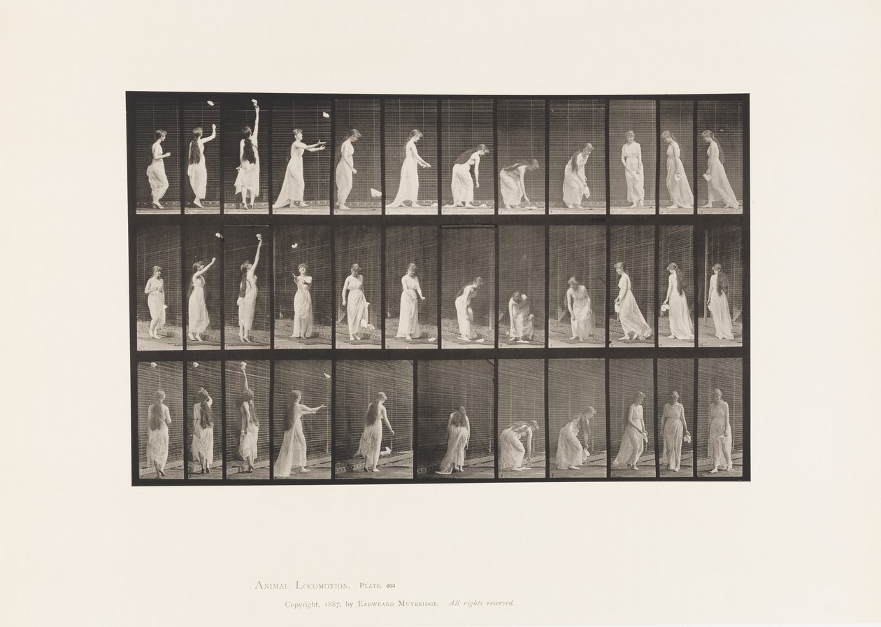 Reaching Up, Stooping and Turning Around by Eadweard Muybridge