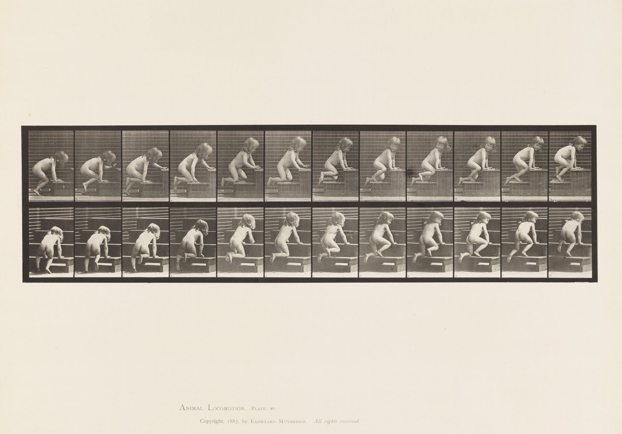Plate 472. Child, Crawling Upstairs by Eadweard Muybridge
