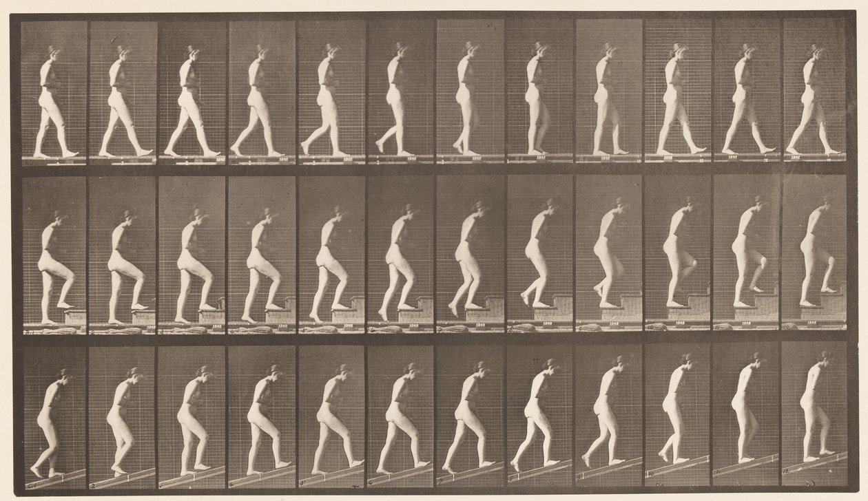 Plate 482. A, Walking; B, Ascending Stairs; C, Ascending Incline by Eadweard Muybridge