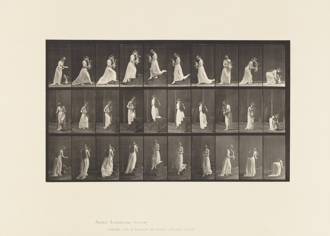 Ascending and Descending Stairs by Eadweard Muybridge