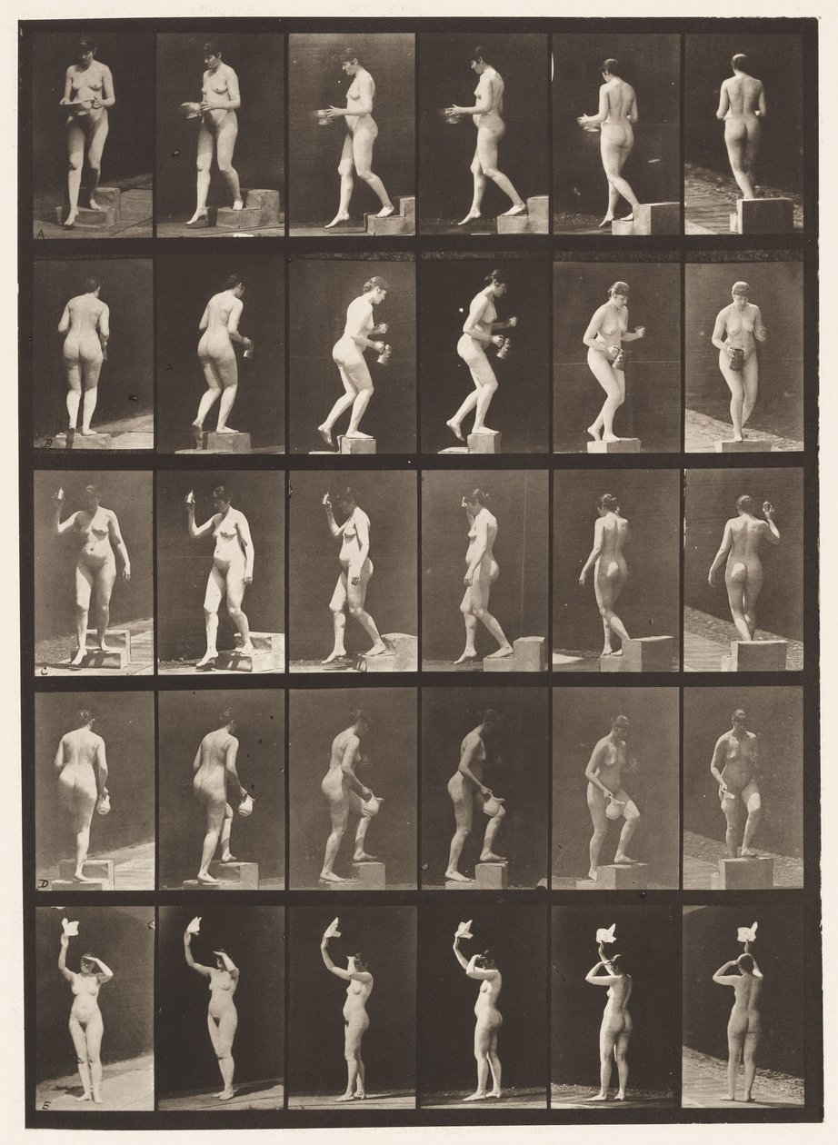 Descending Step; Ascending Step by Eadweard Muybridge