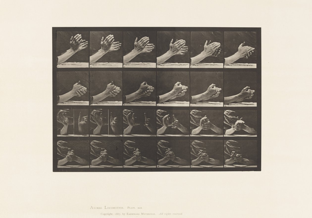 Movement of the Hand; Clasping Hands by Eadweard Muybridge