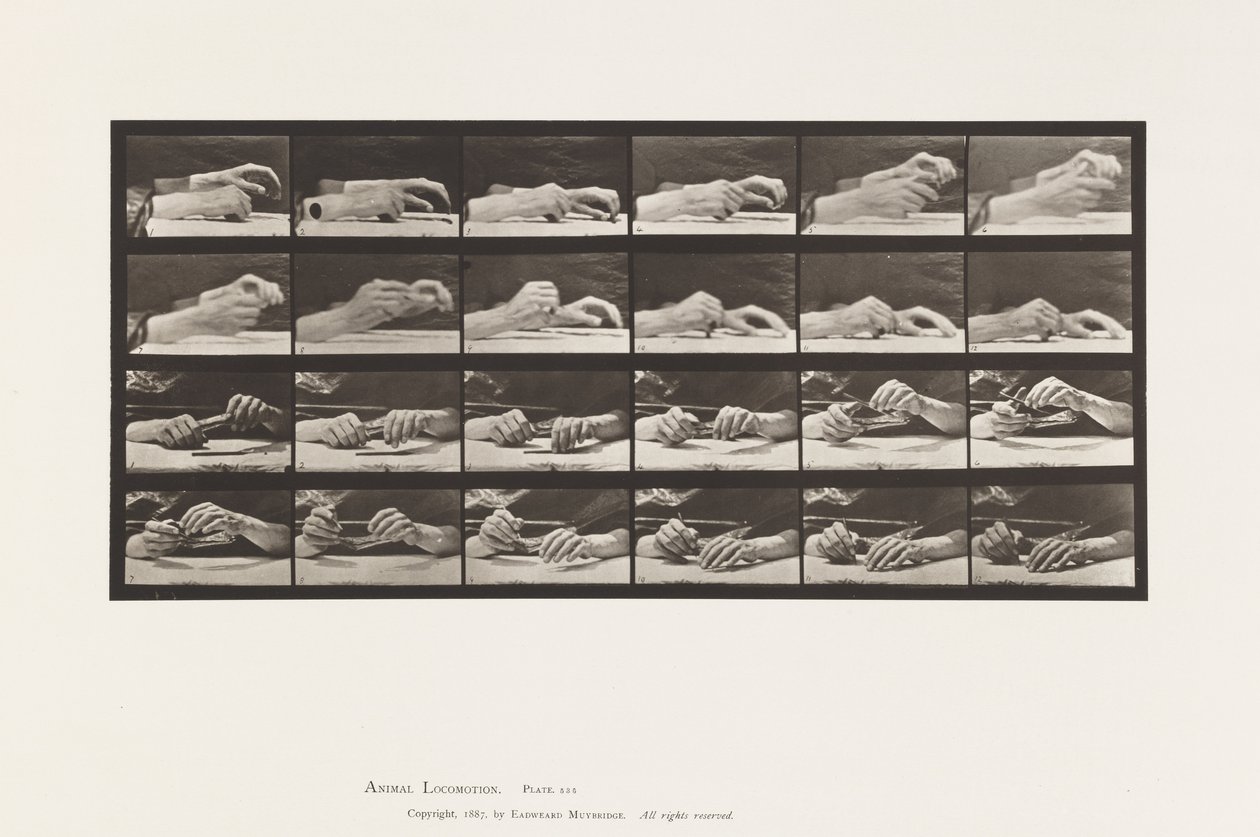 Movement of the Hand; Hands Changing Pencil (Plate 536) by Eadweard Muybridge