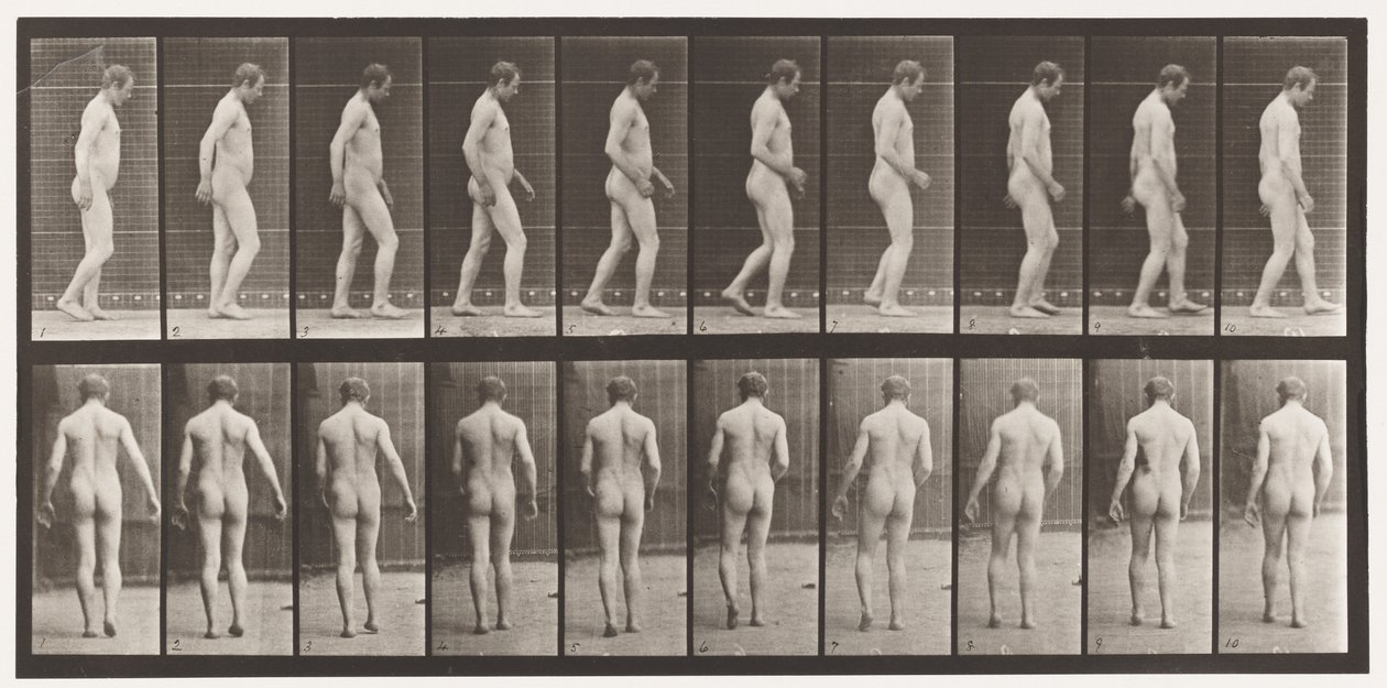 After Traumatism of Head; Walking by Eadweard Muybridge
