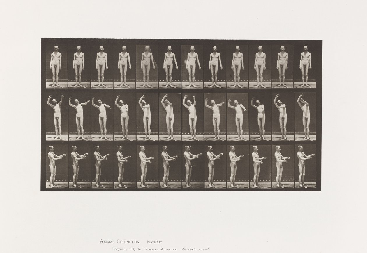 Local Chorea; While Standing by Eadweard Muybridge