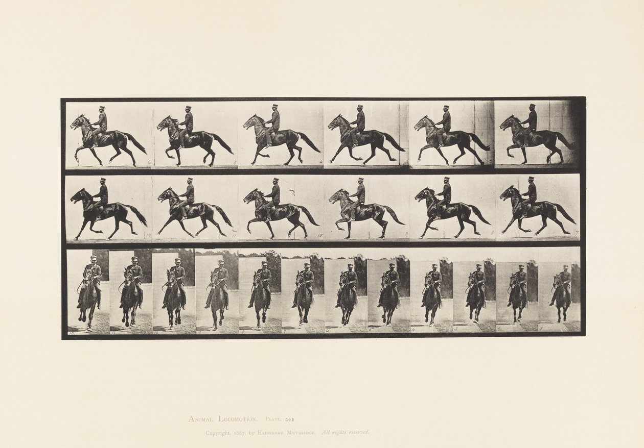 Rocking (Pacing): Saddle; Brown Horse Pronto (Plate 593) by Eadweard Muybridge