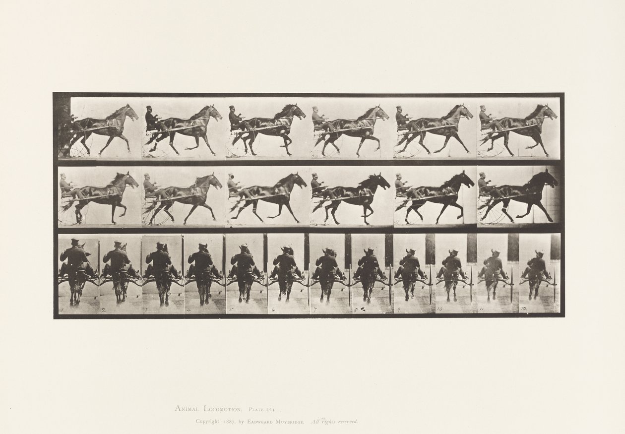 Plate 594. Rocking (Pacing): Sulky; Brown Horse Pronto by Eadweard Muybridge