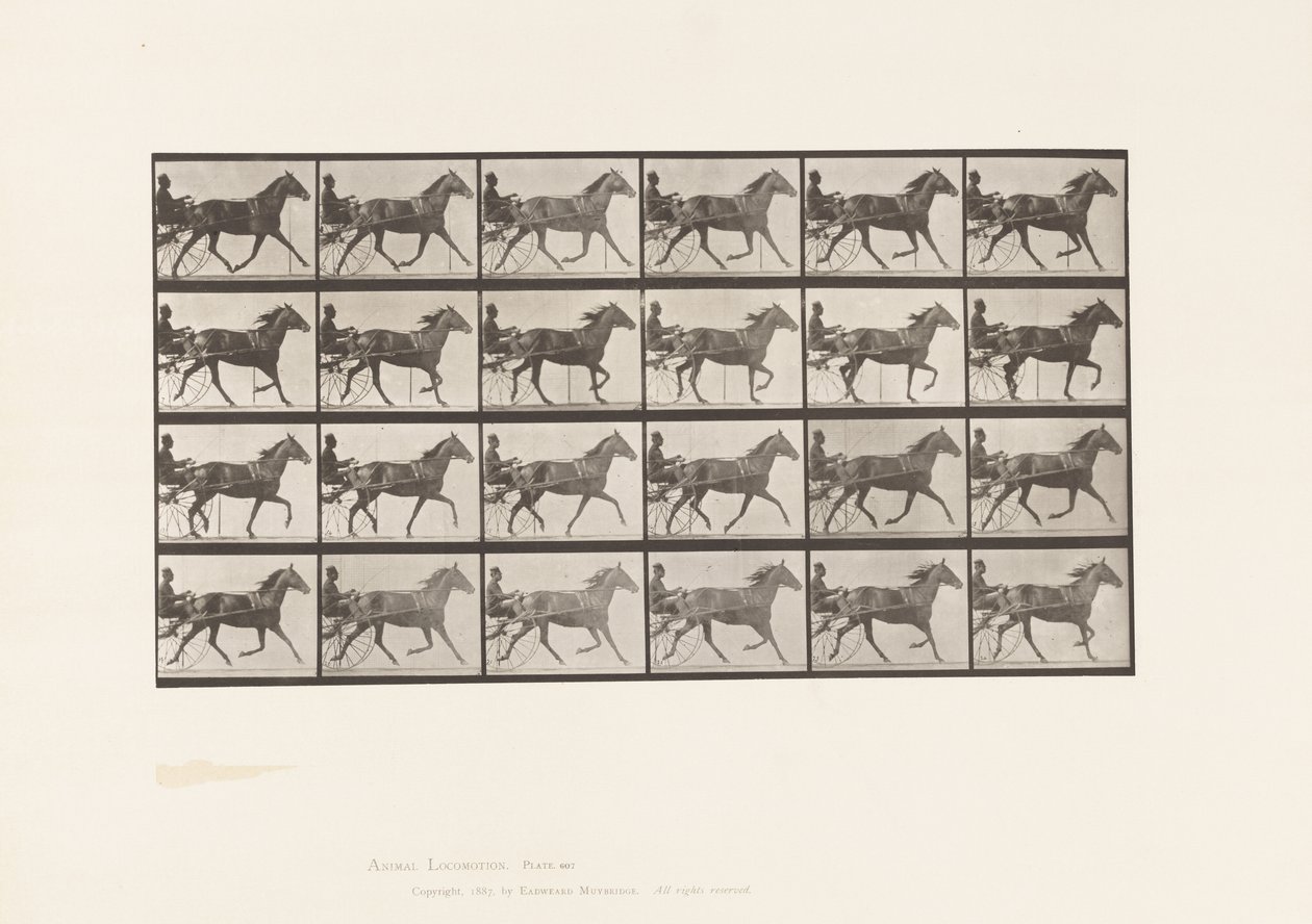 Plate 607. Trotting; Sulky; Bay Mare, Lizzie M. by Eadweard Muybridge