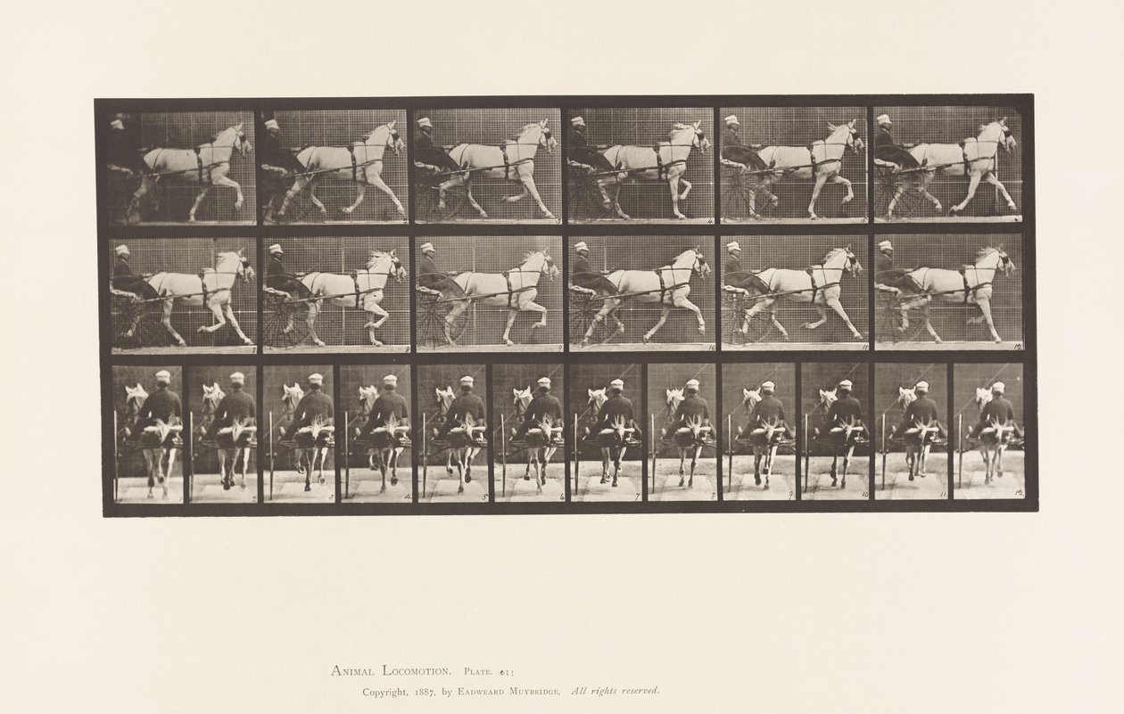 Trotting; Sulky; Gray Mare, Katydid (Plate 611) by Eadweard Muybridge